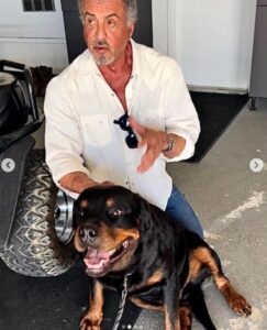 PHOTO Sylvester Stallone Cared More About His Dog Than His Ex-Wife