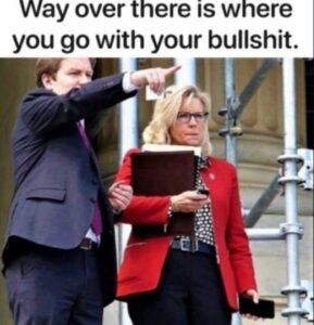 PHOTO Way Over There Is Where You Go With Your Bullsh*t Liz Cheney Meme