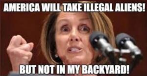 PHOTO America Will Take Illegal Aliens But Not In My Backyard Nacy Pelosi Meme