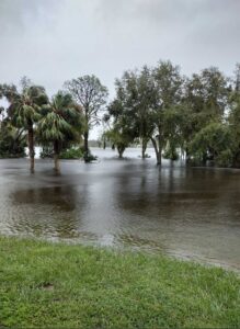 PHOTO Flooding At Lake Lorraine In Deltona Florida Is Up To The Tree Tops