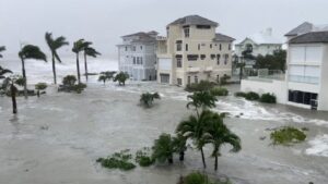 PHOTO Grassy Courtyard In Bonita Springs Area Near Nice Condo's And Apartments Is Just Part Of The Ocean Now