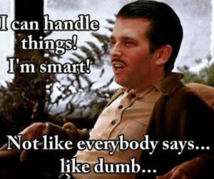 PHOTO I Can Handle Things I'm Smart Not Like Everybody Says Like Dumb Donald Trump Jr Meme