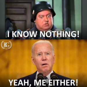 PHOTO I Know Nothing Yeah Me Either Joe Biden Meme