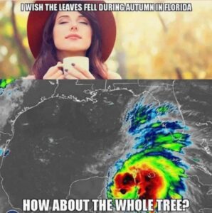 PHOTO I Wish The Leaves Fell During Autumn In Florida How About The While Tree Hurricane Ian Meme