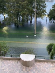 PHOTO Lake Eola Flooding With Feet Of Water Into The Street And Swans Are Still In The Water