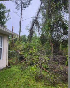 PHOTO Of Downed Trees That Fell On People's Houses And In The Streets Of Deltona Florida