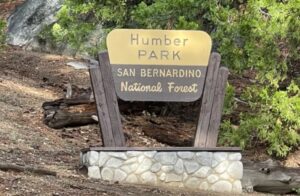 PHOTO Of Trail Where Gavin Escobar Hiked To Go Rock Climbing In San Bernardino National Forest