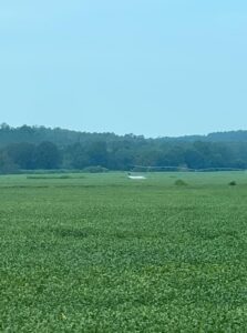 PHOTO Of Tupelo Mississippi Plane Hijacker Landing In A Field Away From Wal-Mart He Threatened To Crash Into