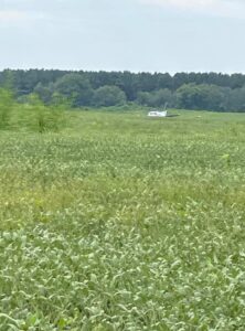 PHOTO Of Tupelo Plane Hijacker Casually Landing In Cornfield After Going Crazy For Two Hours