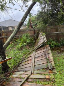 PHOTO Power Lines Are All Down Across Deltona Florida And Trees Are Sitting On Top Of Them