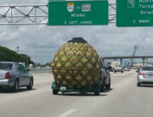 PHOTO Spongebob's Pineapple House Was Spotted Evacuating For Hurricane Ian Heading North Towards Orlando