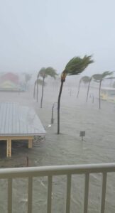 PHOTO Storm Surge Up To The Roof Of Cigar Hut In Downtown Fort Myers Beach