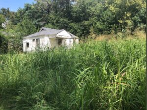 PHOTO Suspect In Eliza Fletcher's Murder Hid Her Body On Corner Lot House Surrounded By Tall Grass