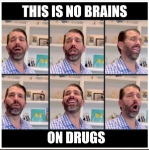 PHOTO This Is No Brains On Drugs Donald Trump Jr Meme