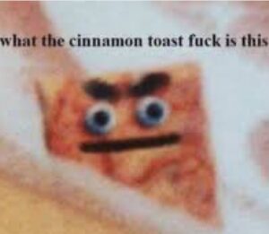 PHOTO What The Cinnamon Toast Fck Is This Meme