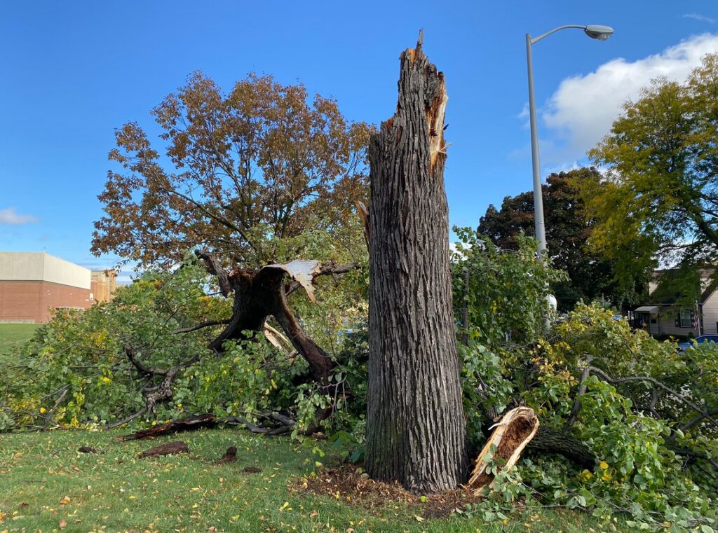 PHOTO Tornado Damage In West Allis Extends All The Way To Central High