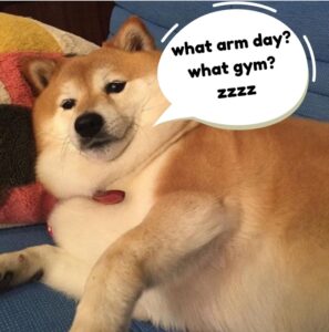 PHOTO What Arm Day What Gym Dog Meme