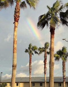 PHOTO Beautiful Rainbow In St Augustine Beach Florida After Hurricane Nicole Passes Through