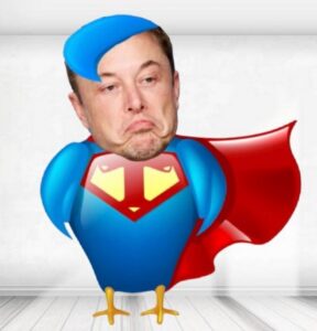 PHOTO Elon Musk Dressed Up As Twitter Bird In Superman Costume For Halloween Meme