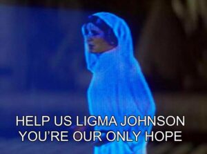 PHOTO Help Us Ligma Johnson You're Our Only Hope Elon Musk Destroying Twitter Meme