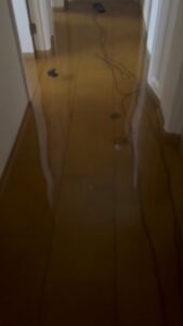 PHOTO Hurricane Nicole Flooded Everyone's House In South Beach And Caused Irreparable Damage