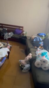 PHOTO Hurricane Nicole Flooded Everyone's House In South Beach And Caused Irreparable Damage 