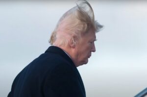 PHOTO Hurricane Nicole Gave Donald Trump's Hair A Change Of Scenery Meme