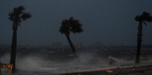 PHOTO Of Palm Trees And The Shore Of Vero Beach Holding On Tight As Hurricane Nicole Made Landfall