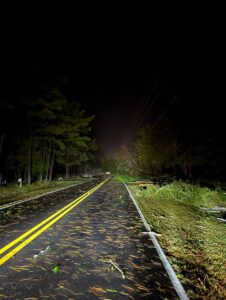 PHOTO Tornado Damage In Bon Secour Alabama Is Really Bad And Huge Trees Everywhere Snapped