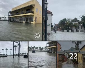 PHOTO What's Left Of Downtown St Augustine Florida Where Living Quarters Are Just Islands Now