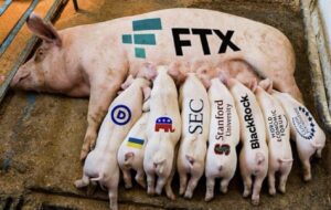 PHOTO Baby Pigs Of American Companies Feeding Off Of FTX Mother Pig Meme