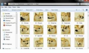 PHOTO Elon Musk's PC Is Loaded WIth Doge Coin Dog Memes