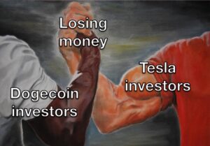 PHOTO Losing Money Dogecoin Investors Vs Tesla Investors Meme