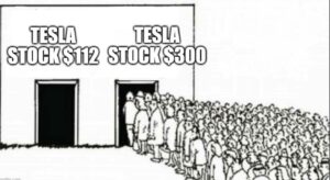 PHOTO Tesla Stock $112 Open Door Vs Tesla Stock $300 Everybody Lining Up Meme