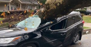 PHOTO Giant Downed Tree In Houston Smashed An SUV Like It Was A Metal Can