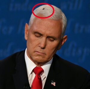 PHOTO Mike Pence’s Fly Has Been Working With The FBI Meme