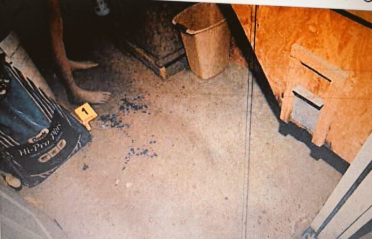 PHOTO Of Crime Scene At Stable In Alex Murdaugh Case