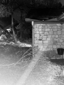 PHOTO Austin Residents Hearing Non-Stop Tree Carnage Falling To The Ground From Heavy Ice