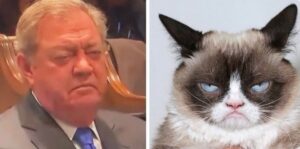 PHOTO Grumpy Cat Needs A Cat Nap At Alex Murdaugh Trial Meme