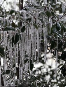 PHOTO Icicles All Over People's Porches In Texas From Freeze