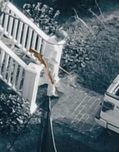 PHOTO John Marvin And Buster Seen On Drone Footage Taking Guns And A Tote Out Of Moselle On Netlix Documentary That Should Be Asked About In Murdaugh Trial