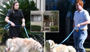 PHOTO Nobody Believes Buster In Alex Murdagh Trial Couldn't Be Around Dogs Because Of Allergies Because He And Girlfriend Have Golden Retriever