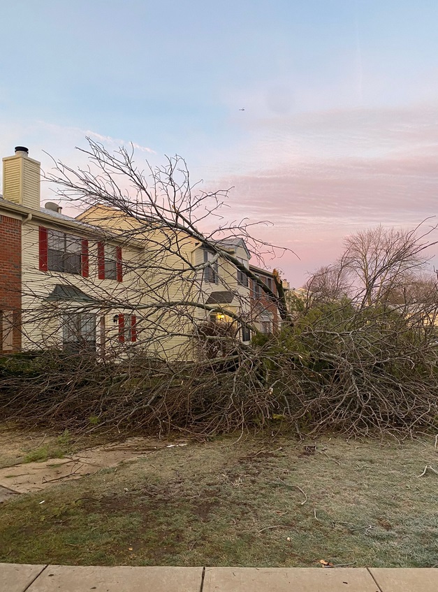 PHOTO Of 10 Homes In Mercer County New Jersey Damaged By Tornado