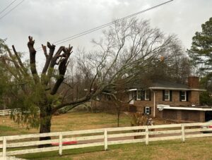 PHOTO Of Home Damaged By Tornado In Ripley MS