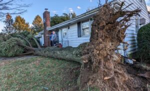 PHOTO West Windsor NJ Residents Can't Believe The Damage To Their Yards From Tornado