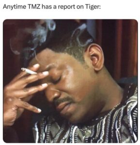 PHOTO Anytime TMZ Has A Report On Tiger Woods Meme
