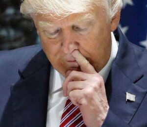 PHOTO Donald Trump Picking A Hard To Reach Booger
