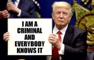 PHOTO I Am A Criminal And Everybody Knows It Donald Trump Meme