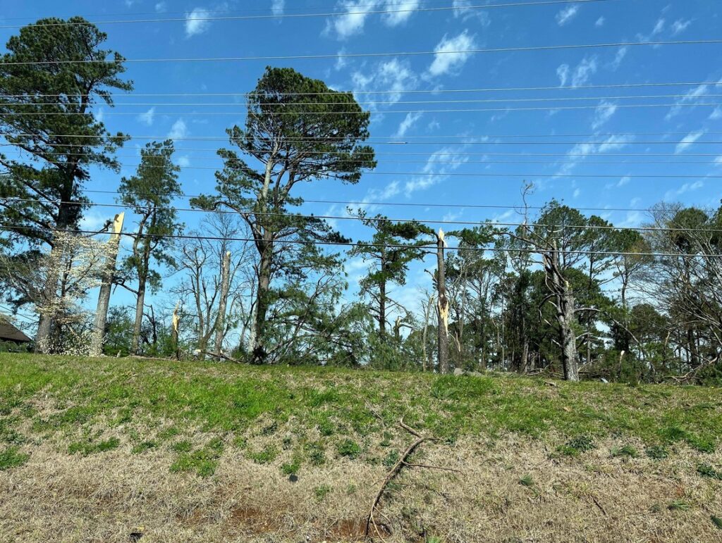 PHOTO Of The Significant Tornado Damage In Muscle Shoals Alabama