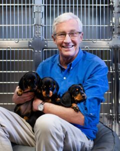 PHOTO Paul O'Grady Holding Three Baby Dachshunds